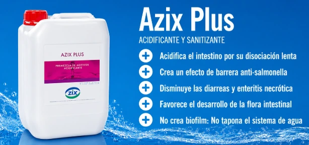 Azix Plus acidificante para agua de bebida en granjas